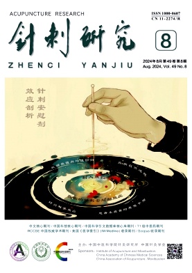 针刺研究封面